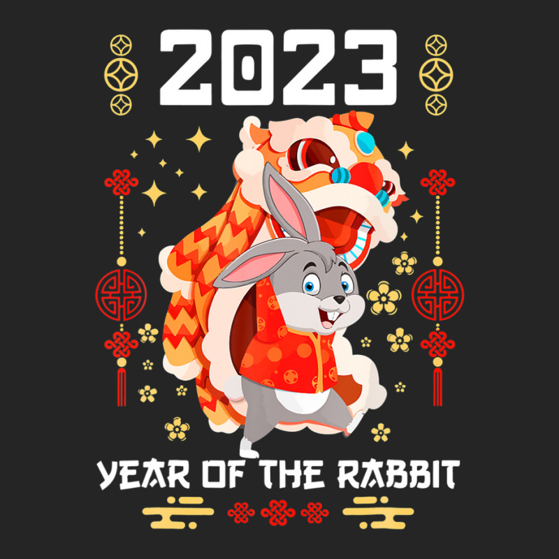 Chinese Zodiac Year Of The Rabbit Chinese New Year 2023 Cute Unisex Hoodie | Artistshot