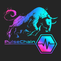 Pulsechain Crypto Bullrun Hodl Rich Millionaire Hex Token Unisex Hoodie | Artistshot