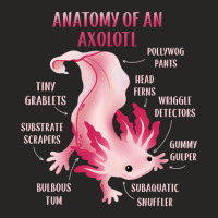 Cute Anatomy Of An Axolotl Ladies Fitted T-shirt | Artistshot