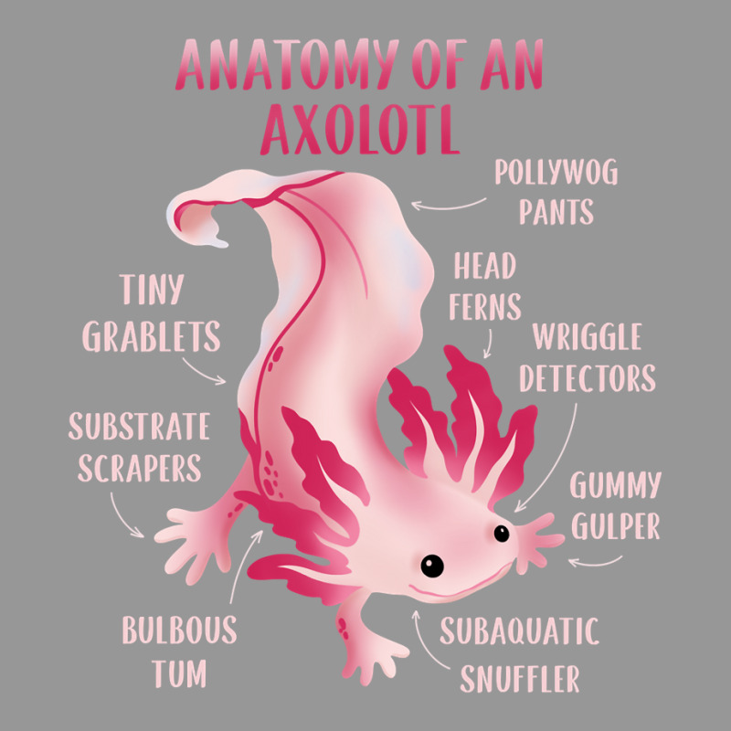 Cute Anatomy Of An Axolotl Women's V-Neck T-Shirt by JessyTee01 | Artistshot