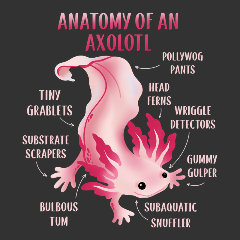 Cute Anatomy Of An Axolotl Baby Bodysuit by JessyTee01 | Artistshot