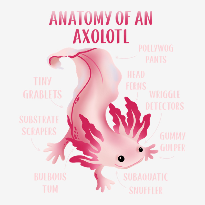 Cute Anatomy Of An Axolotl Youth 3/4 Sleeve by JessyTee01 | Artistshot