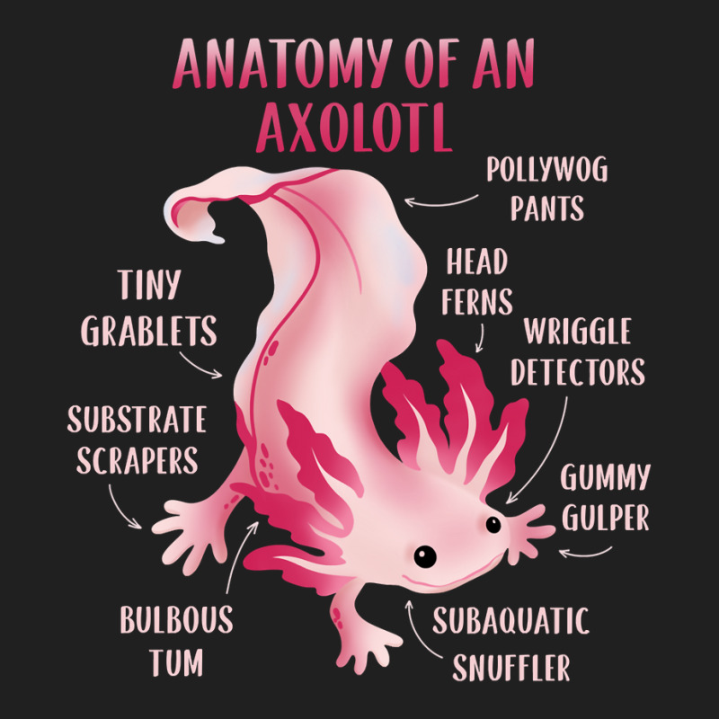 Cute Anatomy Of An Axolotl Ladies Polo Shirt by JessyTee01 | Artistshot