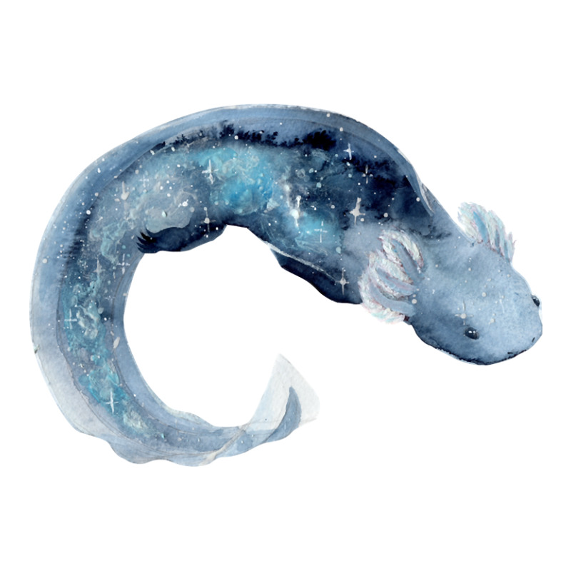 Galaxy Axolotl Youth Tee by JessyTee01 | Artistshot