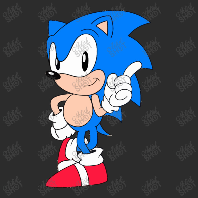 The Hedgehog Exclusive T-shirt by creaker | Artistshot