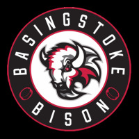 The Basingstoke Bison Women's V-neck T-shirt | Artistshot