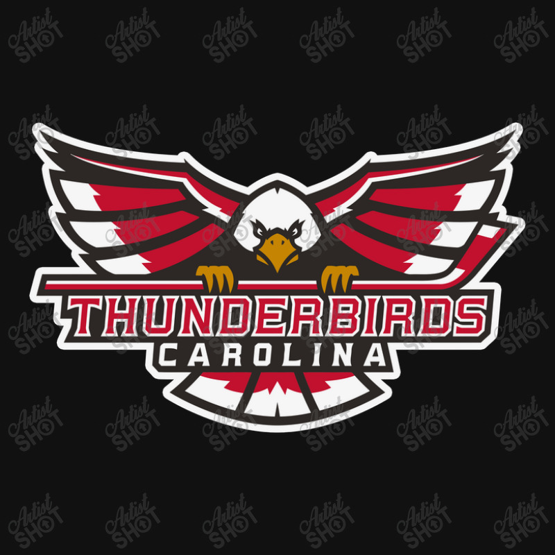 Carolina Thunderbirds Motorcycle License Plate | Artistshot