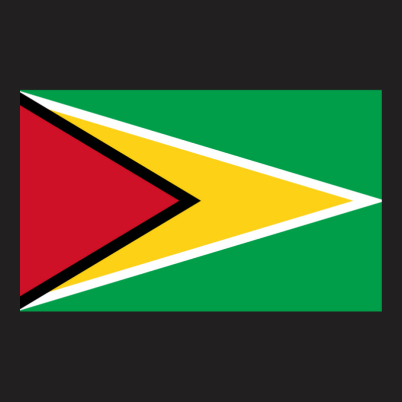 National Flag Of Guyana T-Shirt by DemetriusWatkinsSr | Artistshot