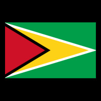 National Flag Of Guyana V-neck Tee | Artistshot