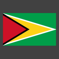 National Flag Of Guyana Vintage T-shirt | Artistshot