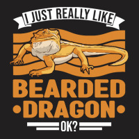 Bearded Dragon T  Shirt I Just Really Like Bearded Dragons Ok Dragon T T-shirt | Artistshot