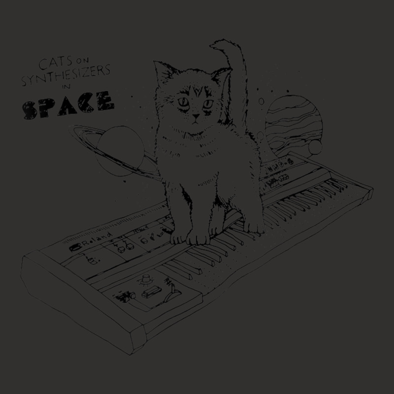 Cats On Synthesizers In Space Cat Owner Champion Hoodie | Artistshot