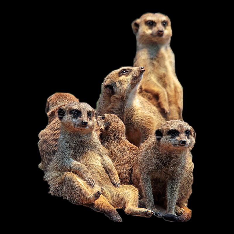 Lettertrunk Meerkat Family In The Kalahari Desert Adjustable Cap by StevenThomasHobert | Artistshot