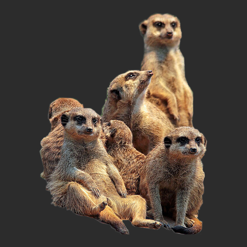 Lettertrunk Meerkat Family In The Kalahari Desert Exclusive T-shirt by StevenThomasHobert | Artistshot