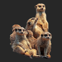 Lettertrunk Meerkat Family In The Kalahari Desert Men's T-shirt Pajama Set | Artistshot