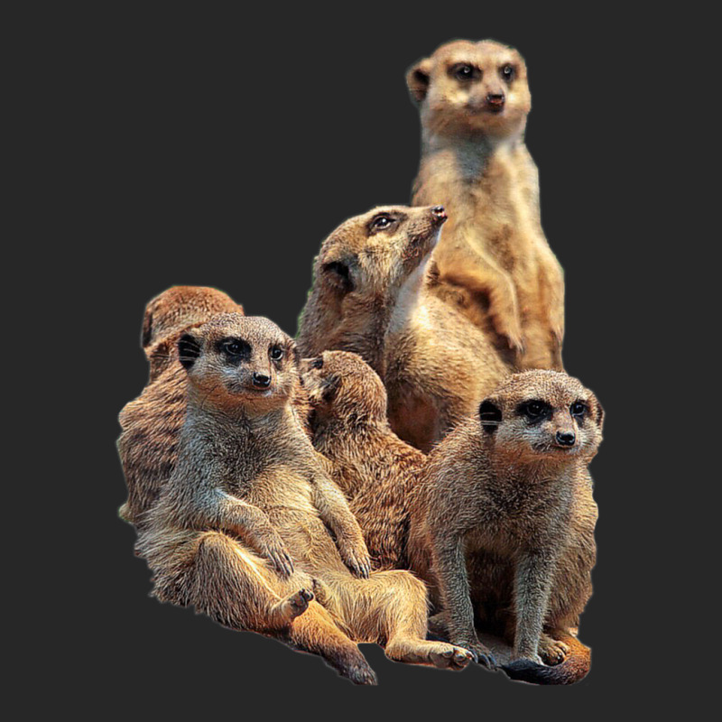 Lettertrunk Meerkat Family In The Kalahari Desert Men's T-shirt Pajama Set by StevenThomasHobert | Artistshot