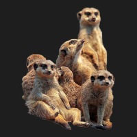 Lettertrunk Meerkat Family In The Kalahari Desert Classic T-shirt | Artistshot