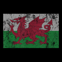 Wales Flag Welsh Dragon Baner Cymru Y Ddraig Goch T Shirt Adjustable Cap | Artistshot