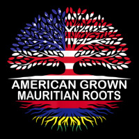 Usa & Mauritius Flags Tee American Grown Mauritian Roots T Shirt Youth Jogger | Artistshot