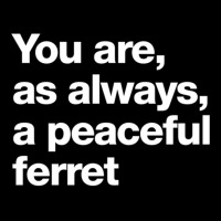 You Are As Always A Peaceful Ferret Men's Long Sleeve Pajama Set | Artistshot