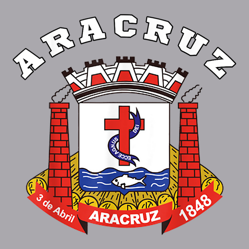 Aracruz Coat Of Arms Flag National Pride Gift Souvenir T Shirt Youth 3/4 Sleeve by enaqr0esch | Artistshot