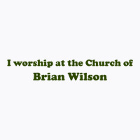 I Worship At The Church Of Brian Wilson T-shirt | Artistshot