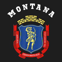 Montana Coat Of Arms Flag National Pride Gift Souvenir T Shirt Classic T-shirt | Artistshot