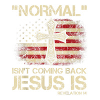 Normal Isn't Coming Back Jesus Is Revelation 14 T Shirt Youth Sweatshirt | Artistshot