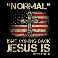 Normal Isn't Coming Back Jesus Is Revelation 14 T Shirt Toddler 3/4 Sleeve Tee | Artistshot