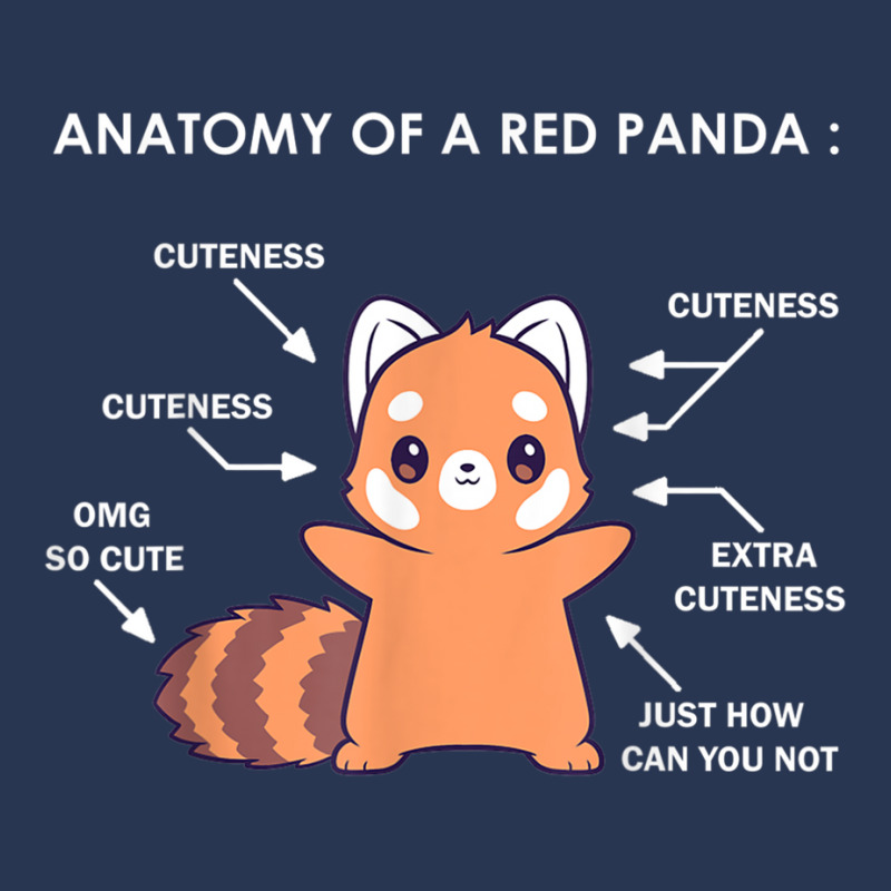 Anatomy Of A Red Panda Science Zoologist Red Panda Anatomy T Shirt Ladies Denim Jacket by hin | Artistshot