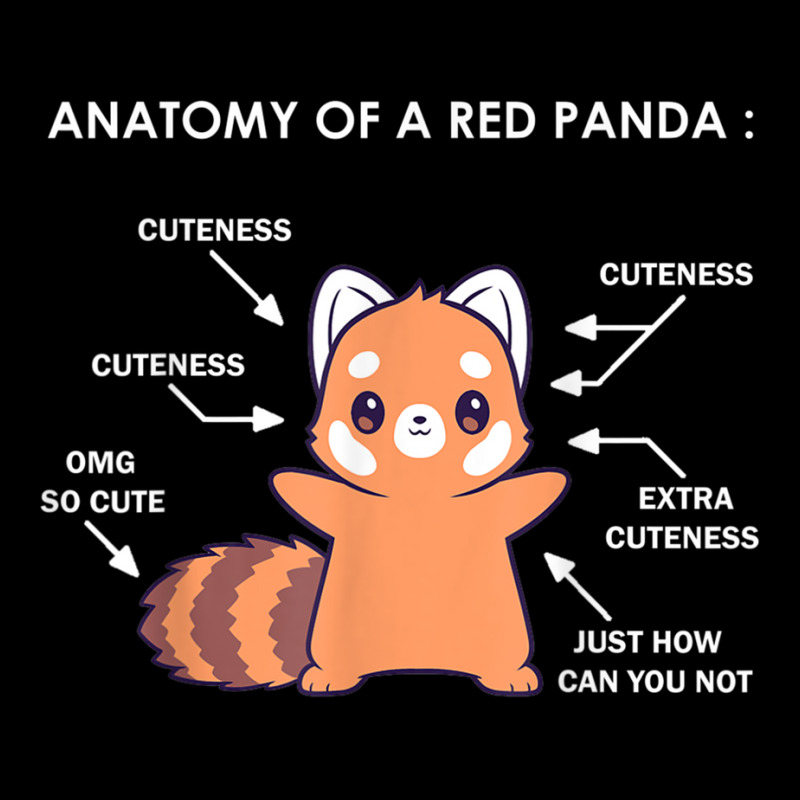 Anatomy Of A Red Panda Science Zoologist Red Panda Anatomy T Shirt Maternity Scoop Neck T-shirt by hin | Artistshot