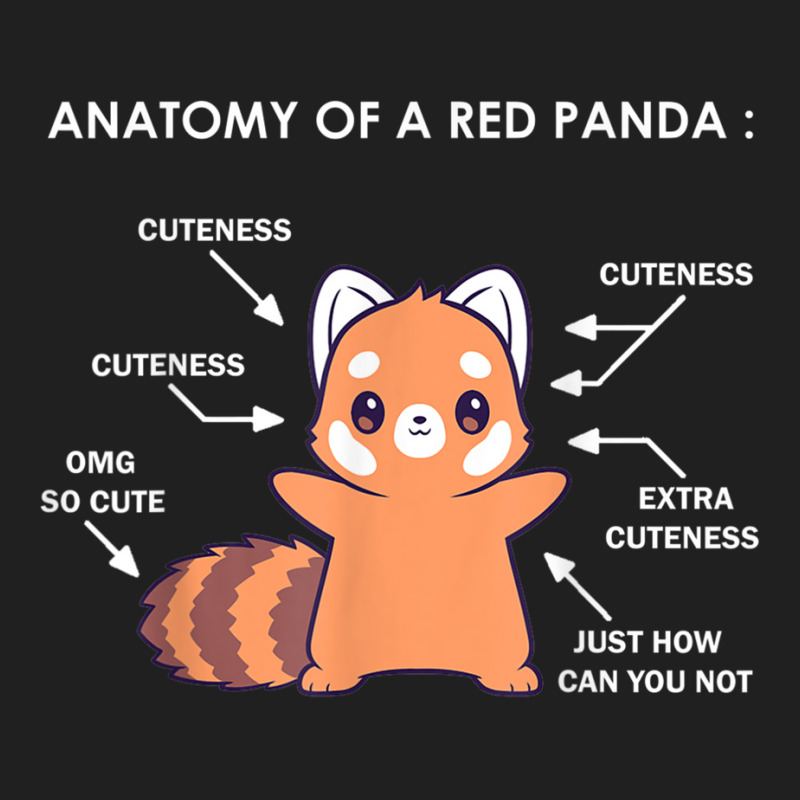 Anatomy Of A Red Panda Science Zoologist Red Panda Anatomy T Shirt Ladies Polo Shirt by hin | Artistshot