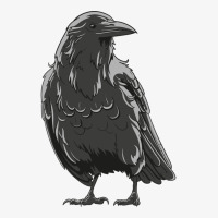 Crow Illustration Ladies Fitted T-shirt | Artistshot