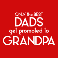 Only The Best Dads Get Promoted To Grandpa Graphic T-shirt | Artistshot