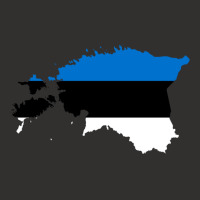 Flag Map Of Estonia Champion Hoodie | Artistshot