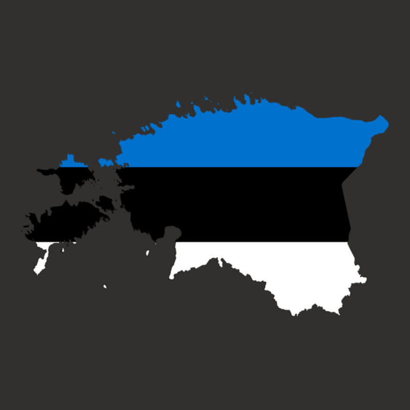 Flag Map Of Estonia Champion Hoodie | Artistshot