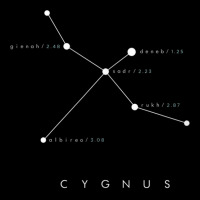 Cygnus Constellation  Astronomy Stargazing Unisex Jogger | Artistshot