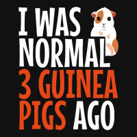 I Was Normal 3 Guinea Pigs Ago Funny Baby Beanies | Artistshot