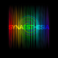 Synaesthesia Lightweight Hoodie | Artistshot