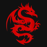 Dragon Art, Chinese Symbol Of Power, Strength, Good Luck Front Car Mat | Artistshot