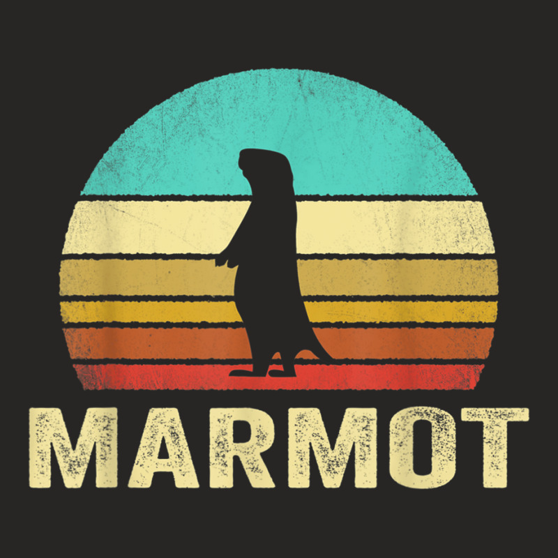 Vintage Marmot Sunset Ladies Fitted T-Shirt by DarionMurray | Artistshot