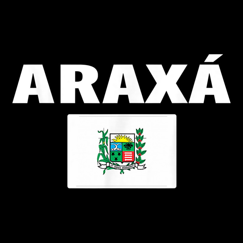 Araxá Flag National Pride Gift Souvenir T Shirt Graphic Youth T-shirt by daniadsu0smyrl | Artistshot