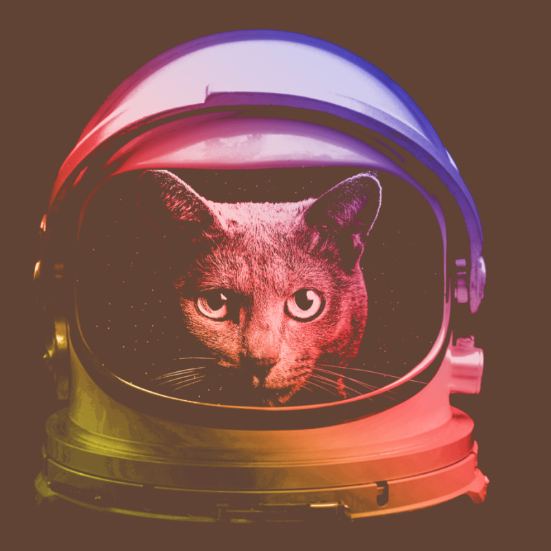 My Cat Is Astronaut T-shirt | Artistshot