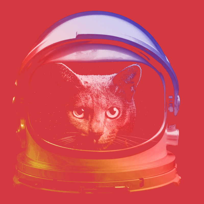 My Cat Is Astronaut Men's Polo Shirt | Artistshot