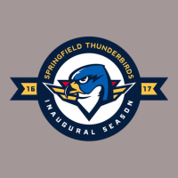 Springfield Thunderbirds Vintage Short | Artistshot