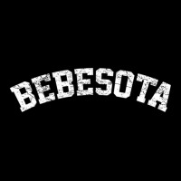 Distressed Vintage Latina Bebesota V-neck Tee | Artistshot