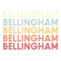 Bellingham Washington Bellingham Wa Retro Vintage Text T Shirt Baby Tee | Artistshot