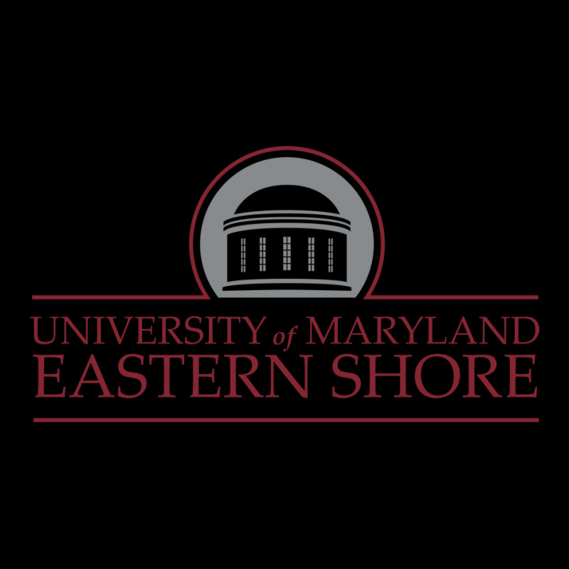 University Of Maryland Eastern Shore Lightweight Hoodie | Artistshot