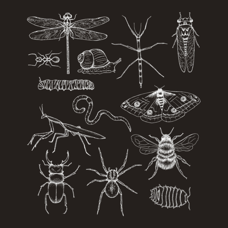 Minibeasts Insects And Invertebrates Drawings Tank Top | Artistshot