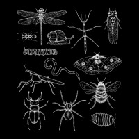 Minibeasts Insects And Invertebrates Drawings V-neck Tee | Artistshot